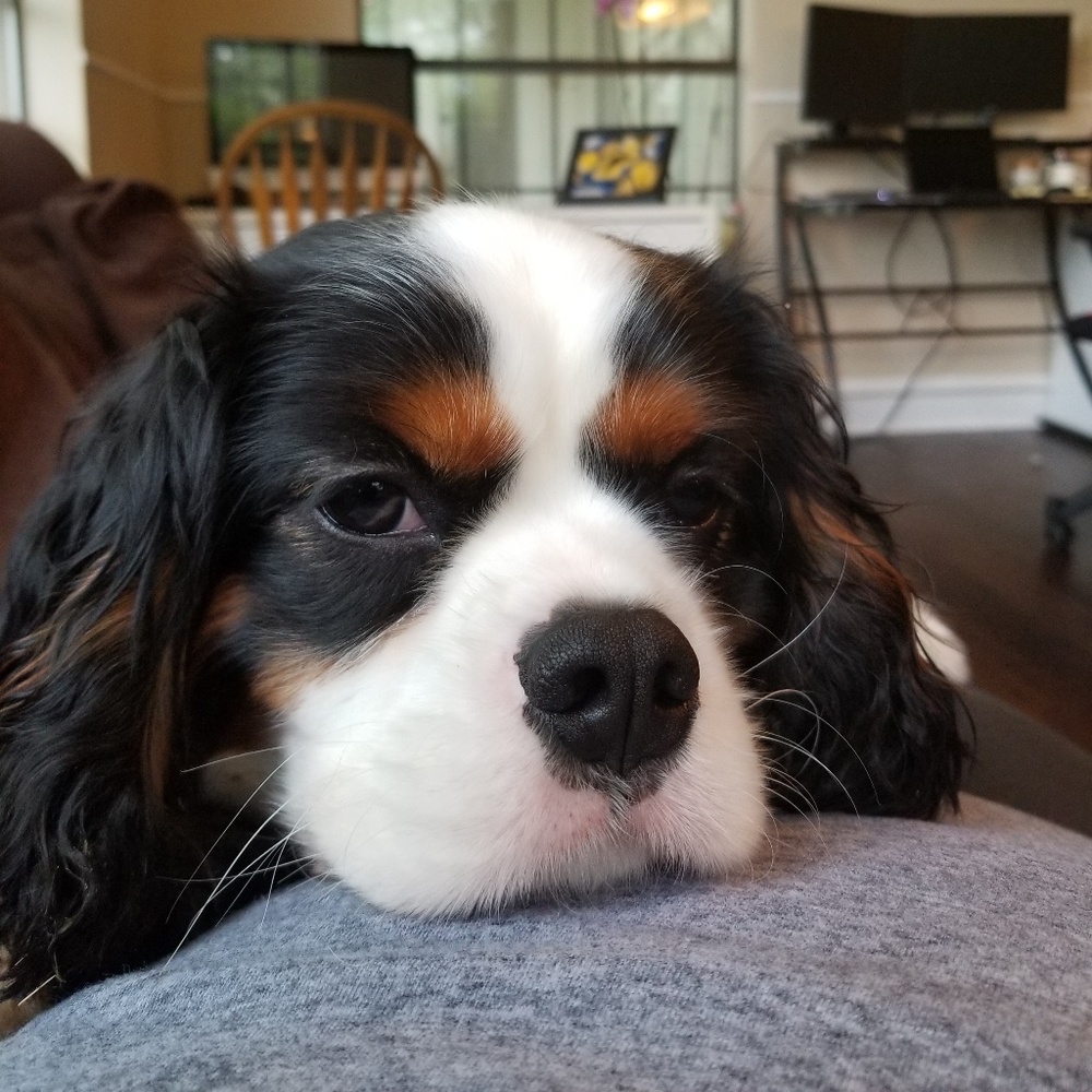 Meet your Posher, Erin